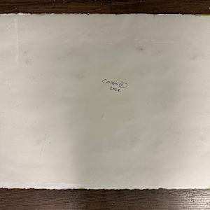 Indigo Rhythms by Courtney Cotton 