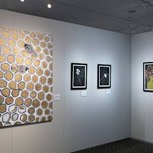 Honeycomb by Courtney Cotton  Image: Littleton Museum Show