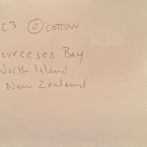Moureeses Bay North Island New Zealand by Courtney Cotton 