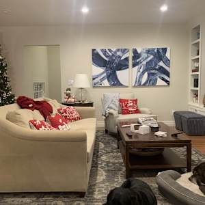 Viney Commission Diptych by Courtney Cotton  Image: Installed with the dogs 