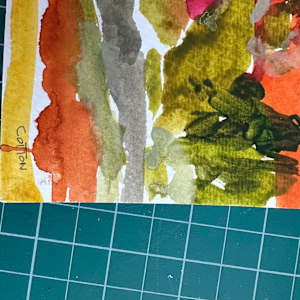 Johnny Behind the Rocks Trail System,  WY by Courtney Cotton 