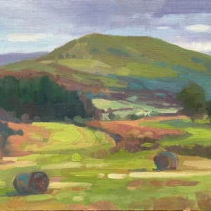 Bracken Bales in Libanbus by Dawn Harries 