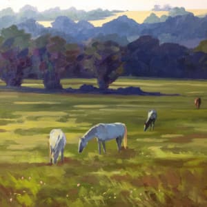 Horses at Sunset by Dawn Harries