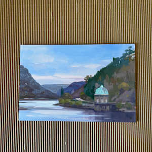 Garreg Ddu, Elan Valley by Dawn Harries 