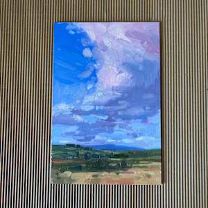 Skysweep by Dawn Harries 