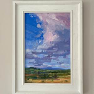 Skysweep by Dawn Harries 