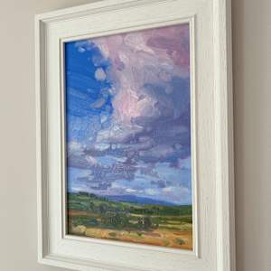 Skysweep by Dawn Harries 