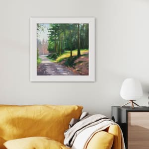 Forest Giants & Sunlight by Dawn Harries 