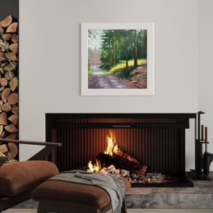 Forest Giants & Sunlight by Dawn Harries 