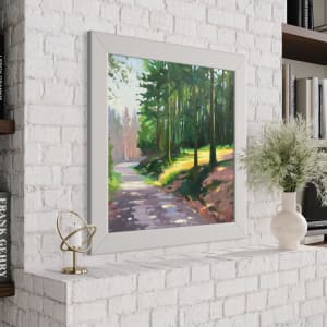 Forest Giants & Sunlight by Dawn Harries 