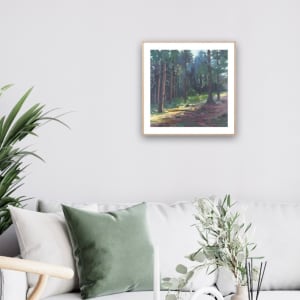 Light Through Smaelog Woods by Dawn Harries 