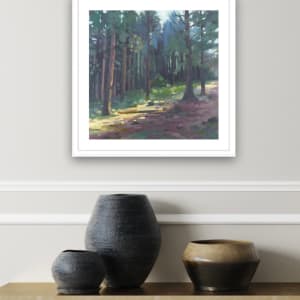 Light Through Smaelog Woods by Dawn Harries 