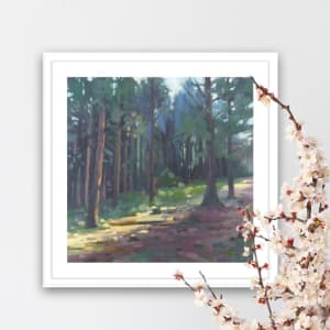 Light Through Smaelog Woods by Dawn Harries 