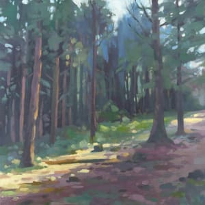 Light Through Smaelog Woods by Dawn Harries 