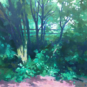 Sunlight on the undergrowth by Dawn Harries  Image: small file
