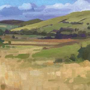 Winter Grass at Llantrisant by Dawn Harries  Image: small file