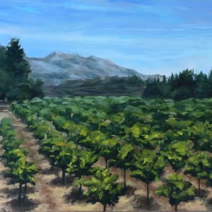 Vineyards of Aix by Holt Cleaver