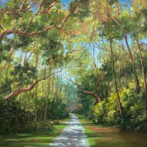 Tree Canopy Series by Holt Cleaver