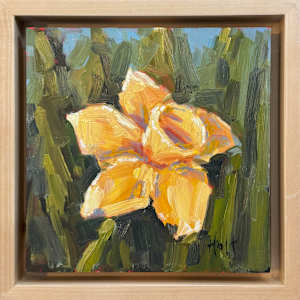 6. Jonquil by Holt Cleaver