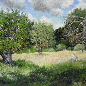 The Apple orchard