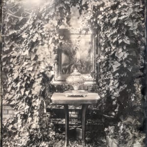 Emily's Ashes