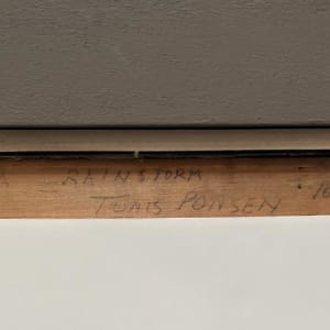 After a Rainstorm by Tunis Ponsen 