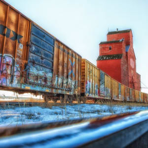 Graffiti Tales on Polished Rails by Brenda Cardiff