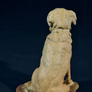 Dog Study #1 by Dave Gejdos 