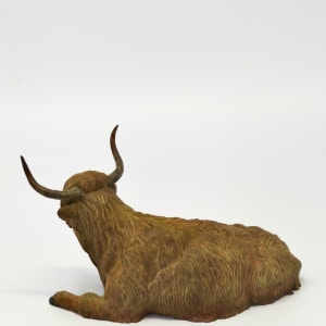 Highland Steer by Dave Gejdos 