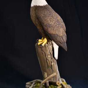 Morning Vigil by Dave Gejdos 