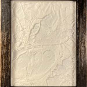 Shellie by Jeffrey Taylor 