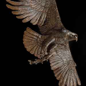 Eagle #2 of 3 by Dave Gejdos 