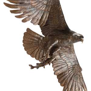 Eagle #2 of 3 by Dave Gejdos