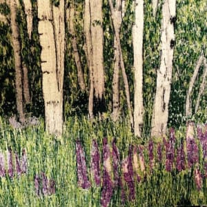 Birch and Lupine Forest