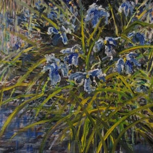 Wild Irises by Tim Eaton