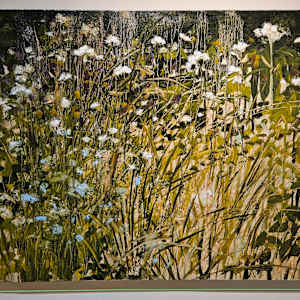 Meadow's Edge by Tim Eaton