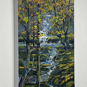 Hidden Falls by Tim Eaton 