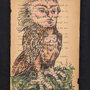 Harpy Too by annekwasner@gmail.com