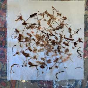 knots, stains, ties by Heather Baumbach, Image 2.