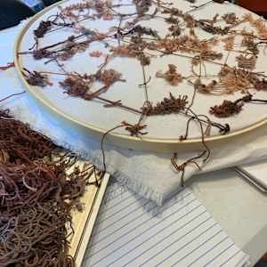 knots, stains, ties by Heather Baumbach, Image 7.