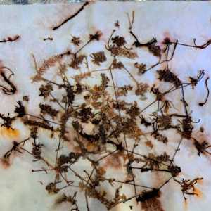 knots, stains, ties by Heather Baumbach, Image 3.