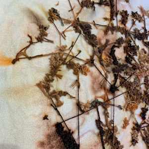 knots, stains, ties by Heather Baumbach, Image 5.