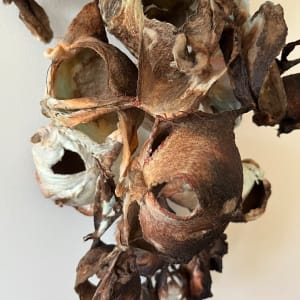 specter by Heather Baumbach, Image 1.