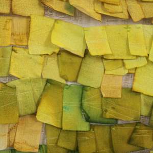 Ginko by Heather Baumbach, Image 2.
