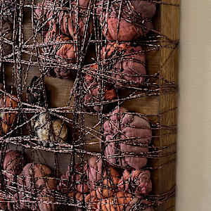 confine by Heather Baumbach, Image 5.