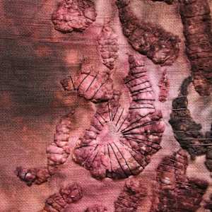 remain by Heather Baumbach, Image 2.