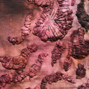 remain by Heather Baumbach, Image 3.