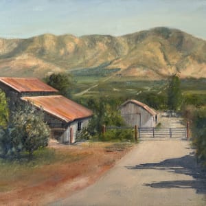 Looking  In then  Out by John von Buelow