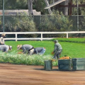Moorpark Carrot Harvest by John von Buelow