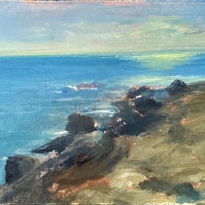 Study at the Bluffs at Leo Carillo State Beach